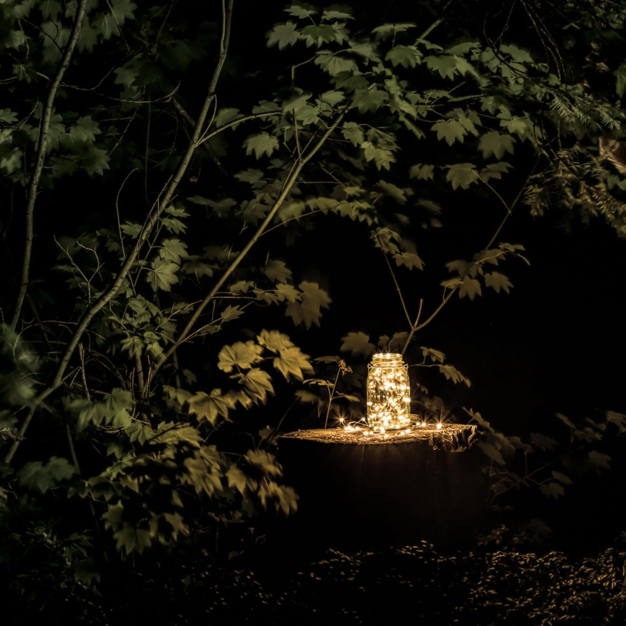 6 ft. Silver Wire Fairy String Light