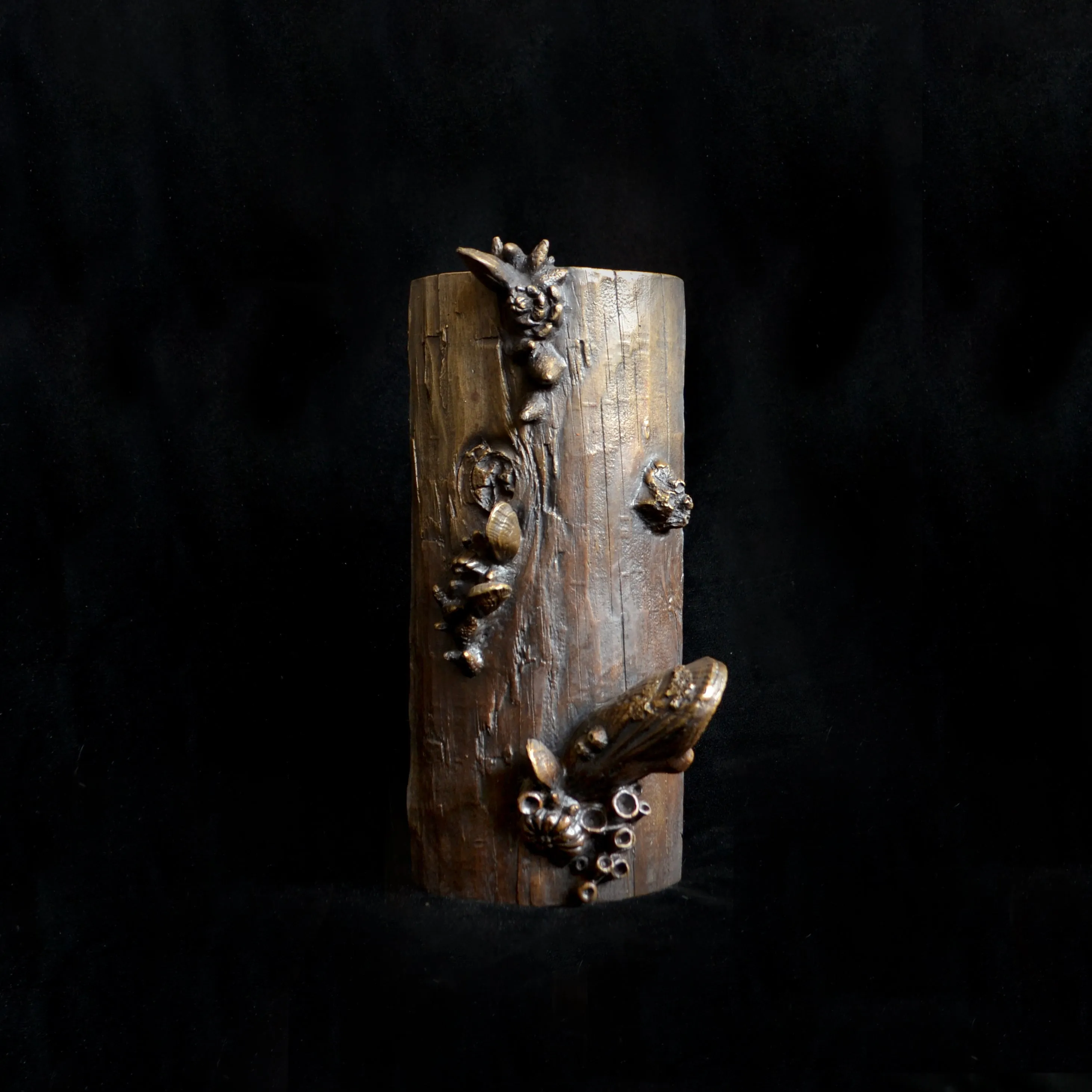 Nautical Wall Sconces