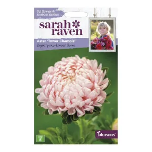 Sarah Raven Callistephus Chinensis Tower Chamois Seeds