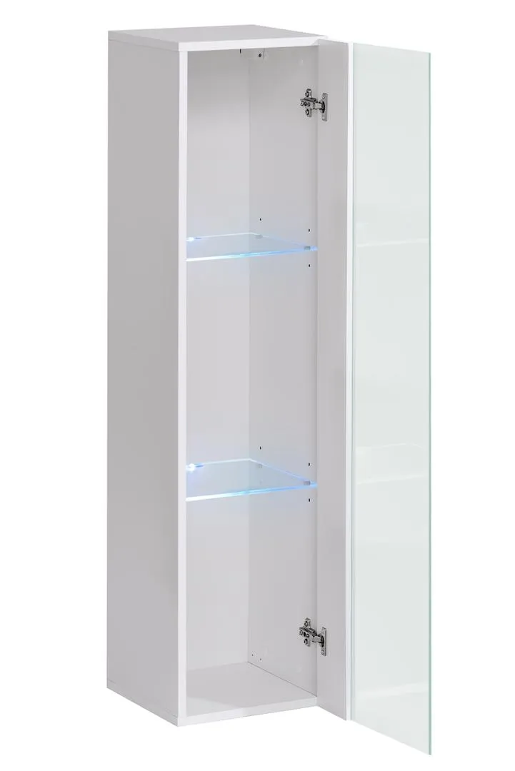Switch WW2 Hung Display Cabinet 30cm