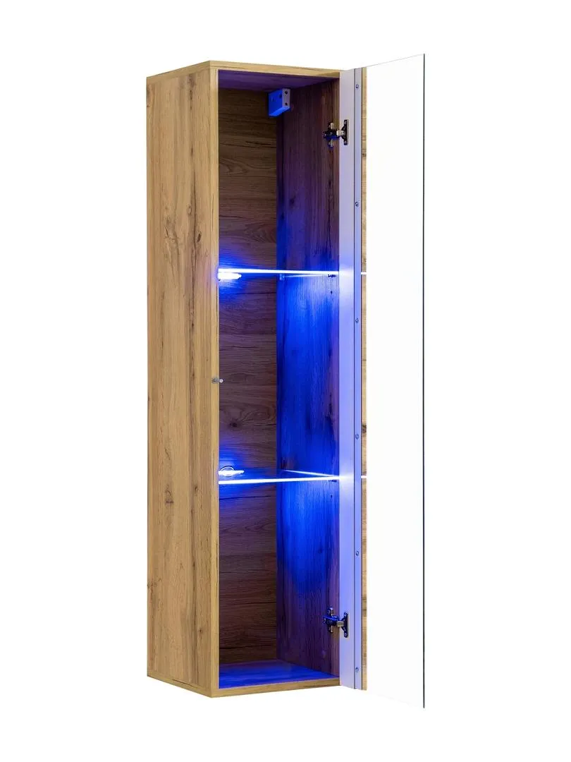 Switch WW2 Hung Display Cabinet 30cm