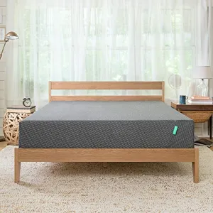 TUFT & NEEDLE 2020 Mint Queen Mattress - Extra Cooling Adaptive Foam with Ceramic Cooling Gel and Edge Support - Antimicrobial Protection Powered by HEIQ - CertiPUR-US - 100 Night Trial